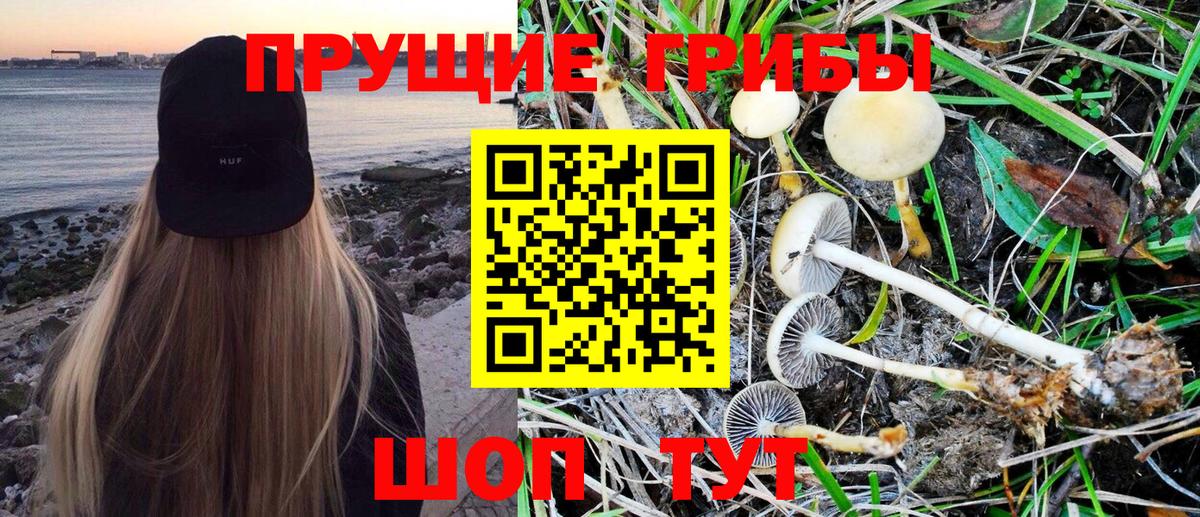 Ялта  Псилоцибиновые грибы ЛСД  Псилоцибиновые грибы MAGIC MUSHROOMS  Вход с VPN 